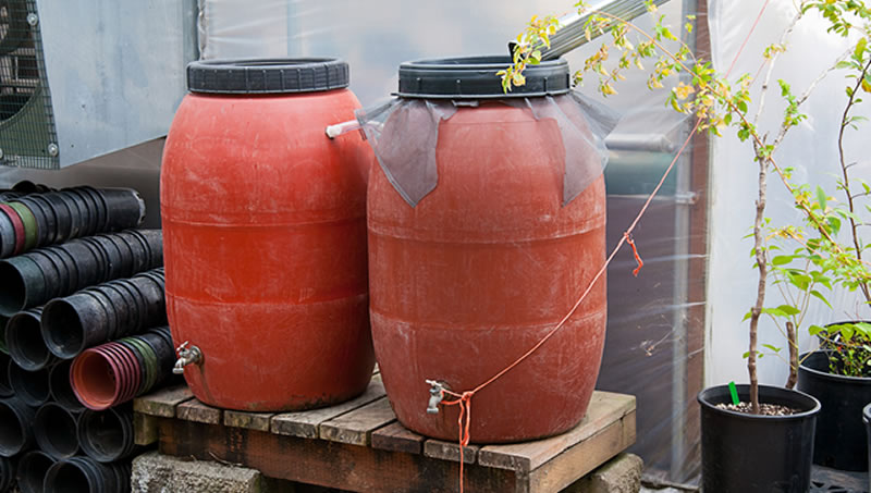 Rain Barrel Installation